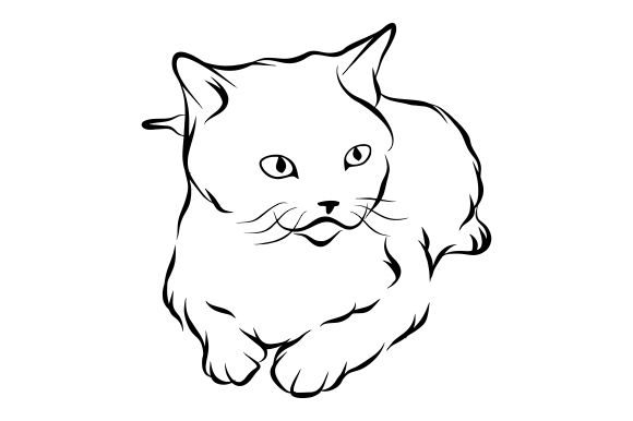 Download Cat Line Art Vector - Premium Resources